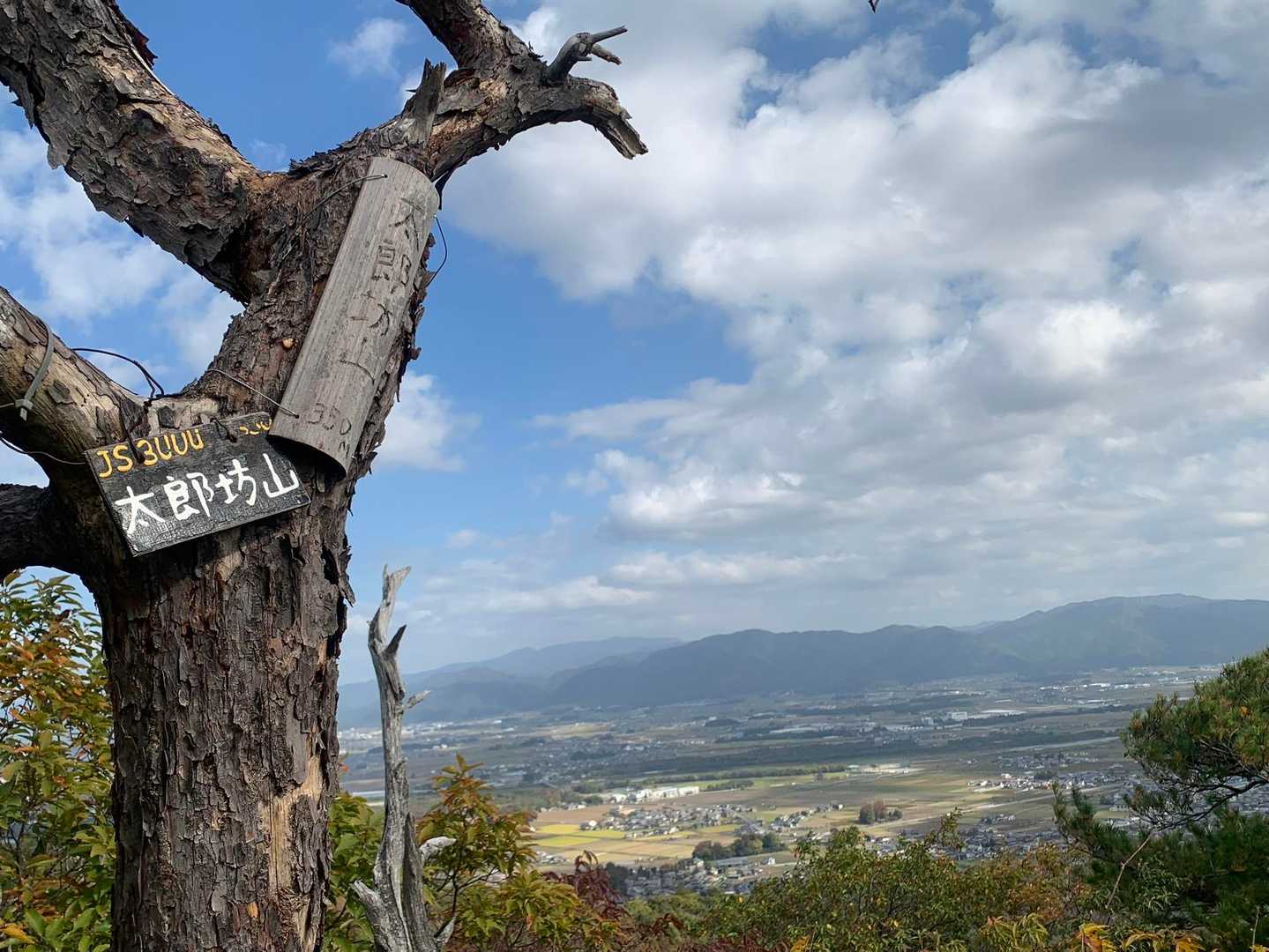 阿賀神社-太郎坊山-みつくり君休憩所-箕作山-小脇山-十三 縦走コースの写真