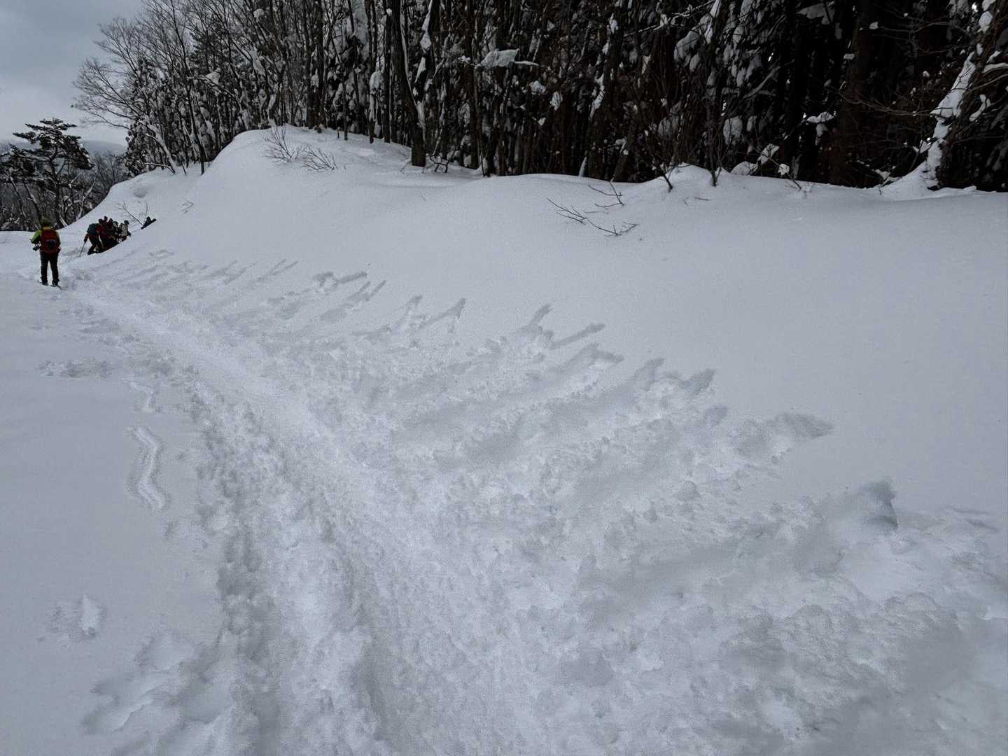 帰りに団体さん達が ダイブした跡発見。笑