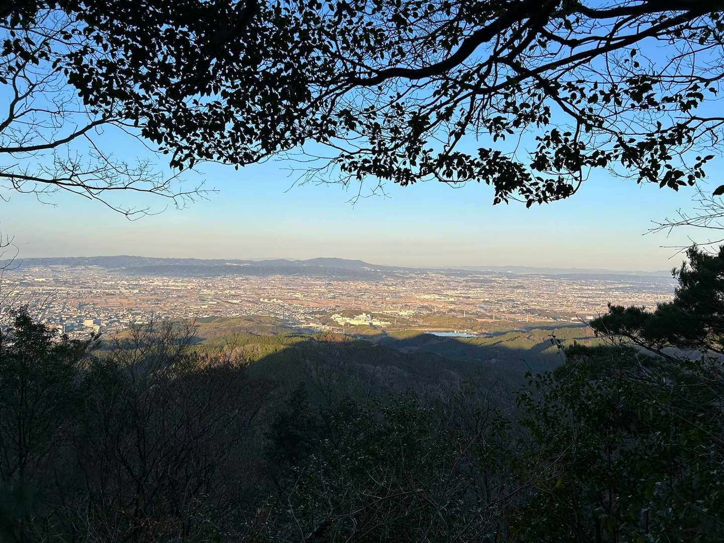 展望はまずまず。