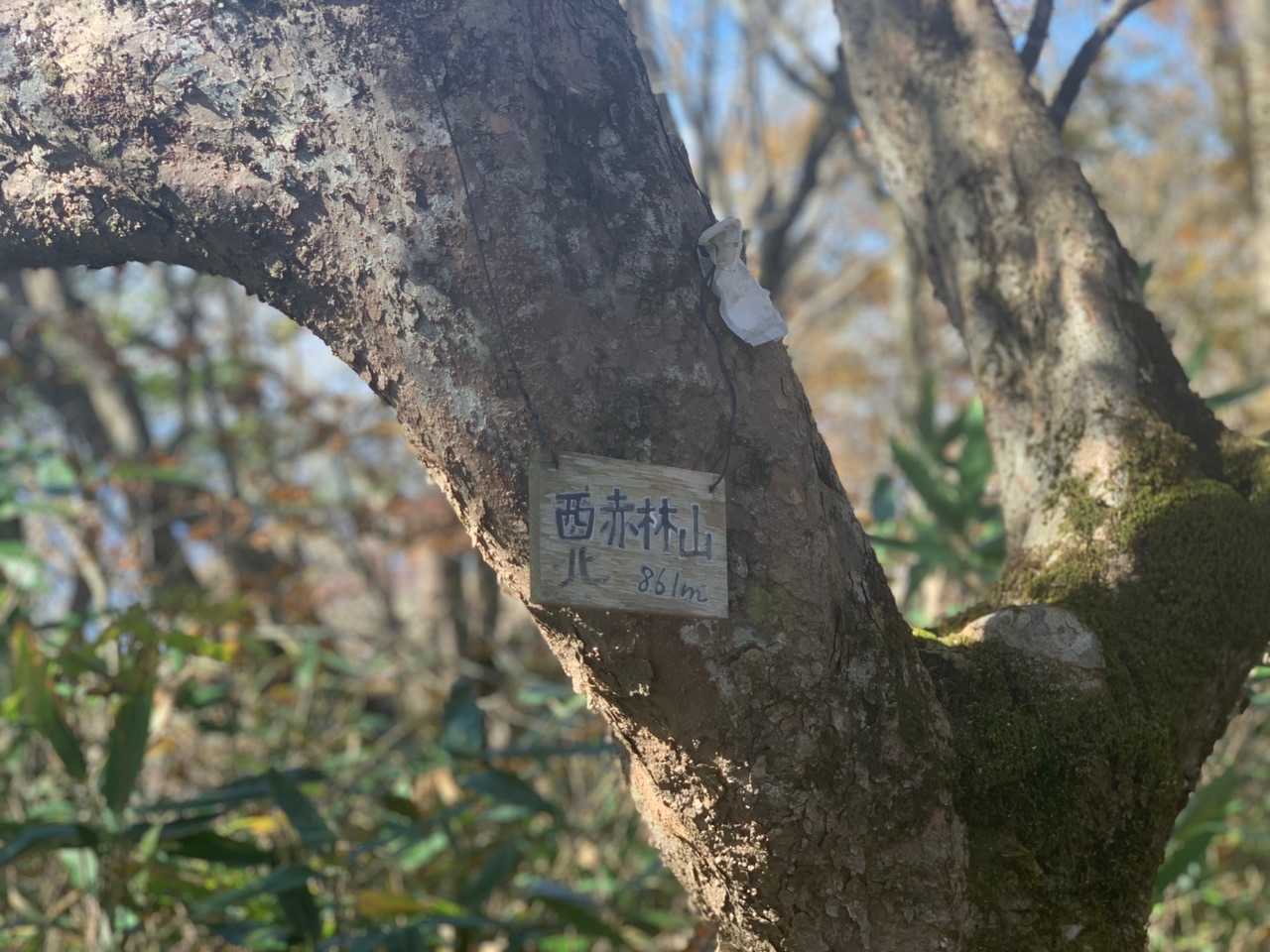 着😎👍。
