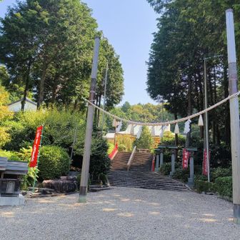 やっと降りて来ました！
やっぱり暫くは少しでも涼しい山に行かなくちゃあ‼️
この山は暑かったわ😰
