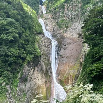 日本一の落差のある滝だけあって、
長いですね 😃