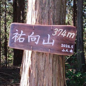 裕向山山頂。