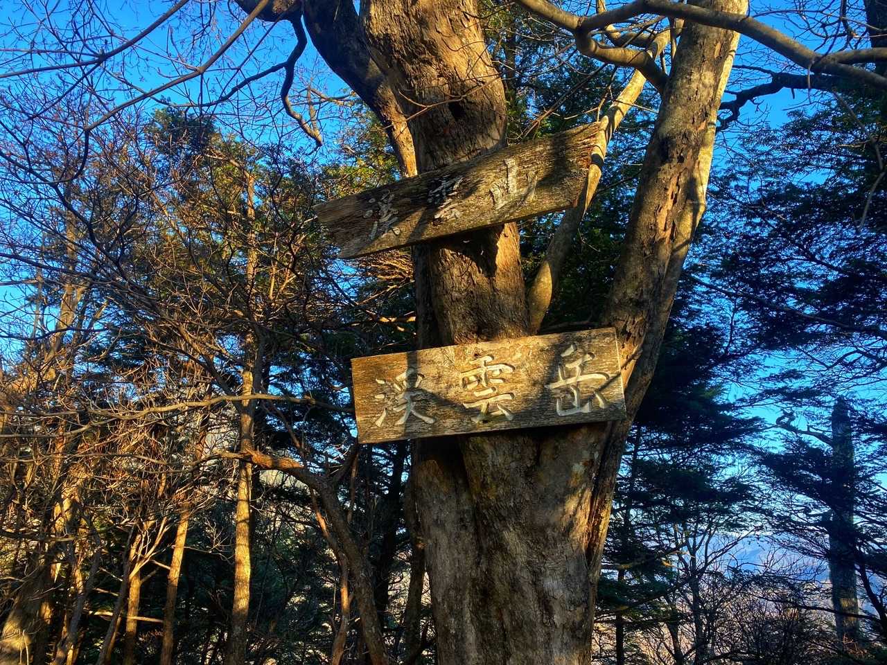 越えていく