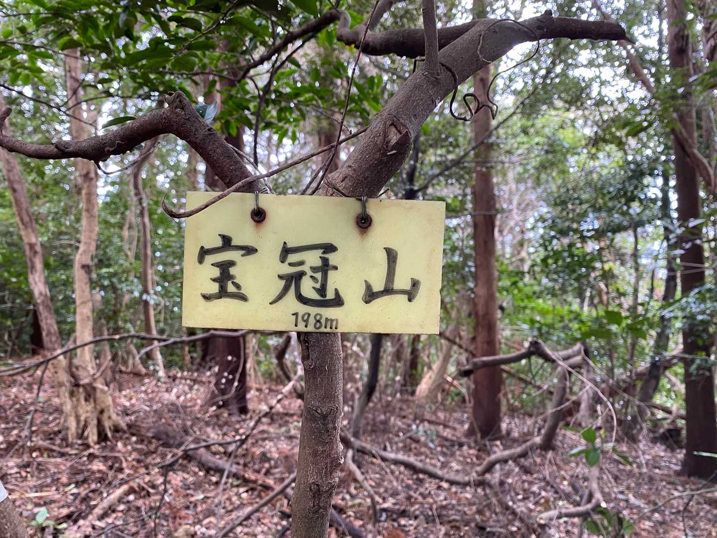 宝冠山の写真