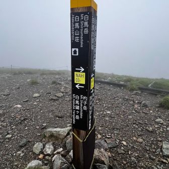 杓子岳＋鑓ケ岳の予定だったけど、雷も心配だし、どうする？やめとく？やめとこうか…と山荘に戻りかけたら…