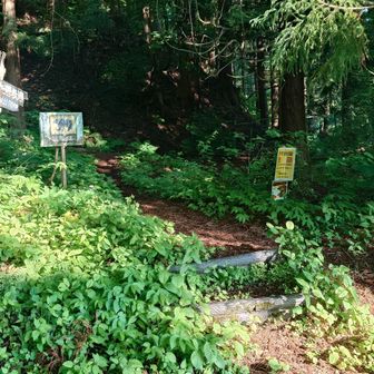 かもしか遊歩道へ🦌