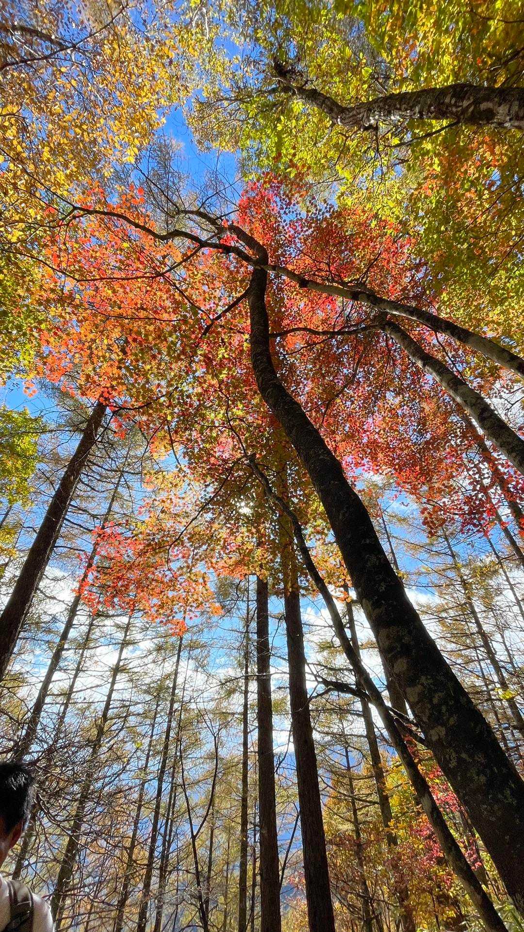 矢立石登山口-日向山 往復コースの写真