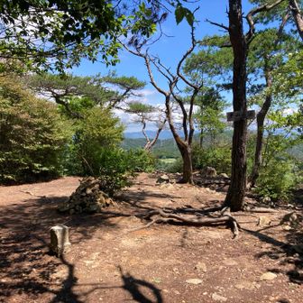 山頂