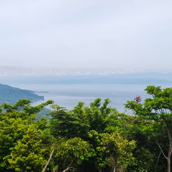 乳白色の駿河湾