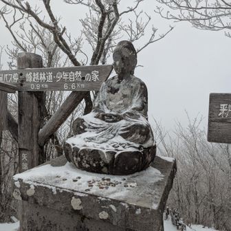 頂上
お釈迦様も雪をかぶっておられました
手で払いのけました
お賽銭は手をつけていません
ほんとです