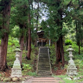 めっちゃ立派な神社⛩️