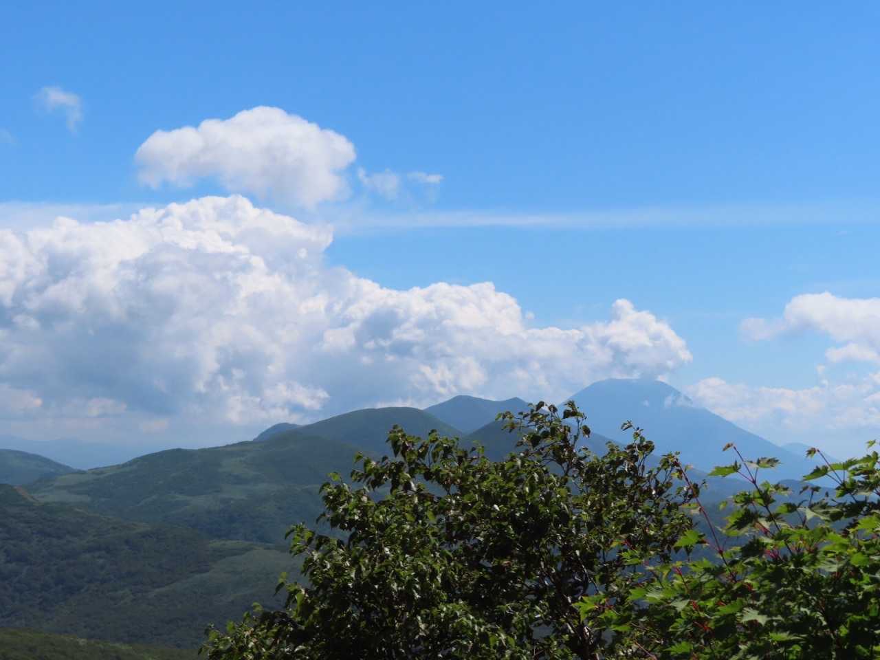 新見峠登山口-前目国内岳-目国内岳 往復コースの写真