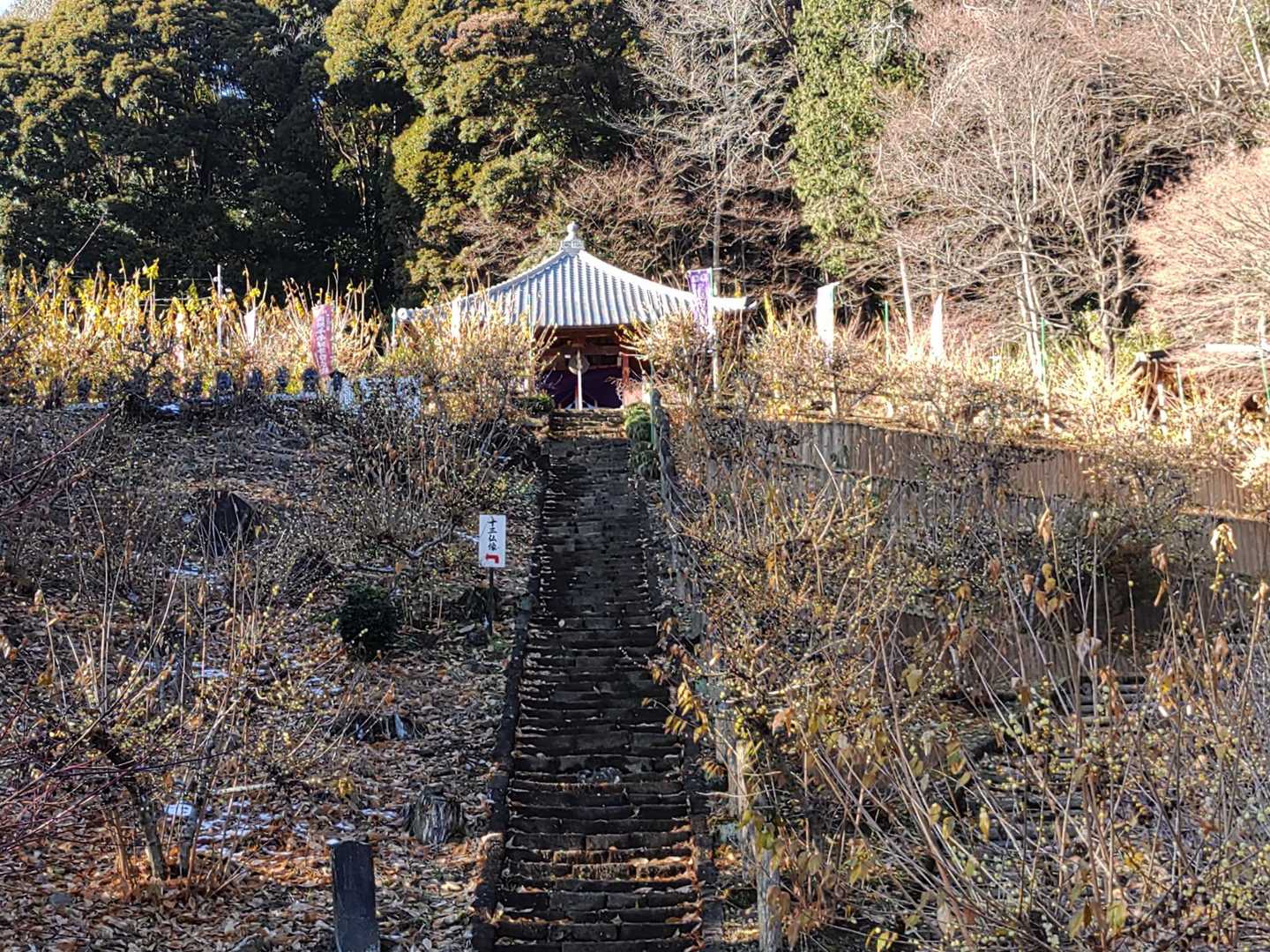 太平山表参道入口-奥宮入口-太平山-ぐみの木峠-晃石山-青 周回コースの写真