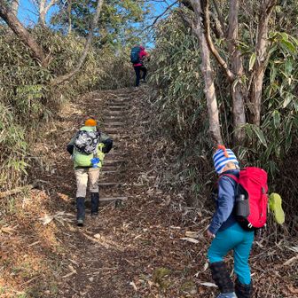 初めから怒涛の階段。