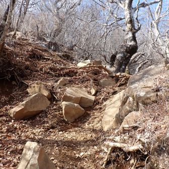 岩場以外も傾斜が急で、滑るのが嫌でのろのろペースに。
が、後で見たらペース100％を切っていない。
みんな遅いってことなのだ👻