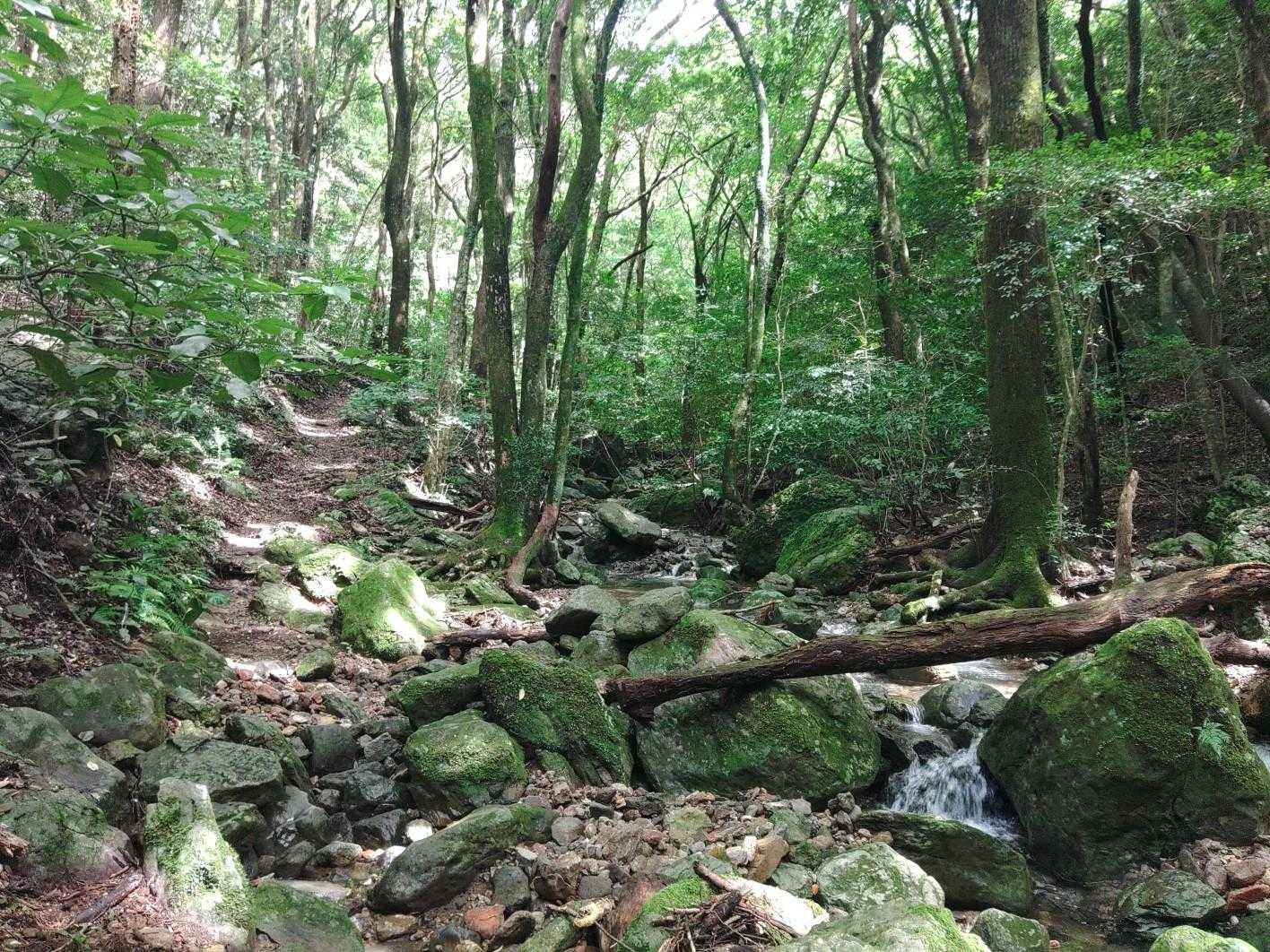 見返り峠-黒髪山 往復コースの写真