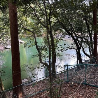 今日は釣り人いませんでした