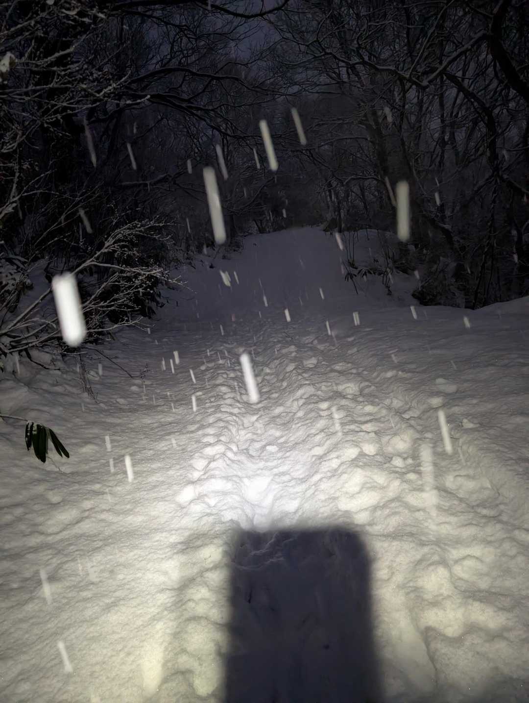 暗がりの降雪は、決して歩き易くはありません。