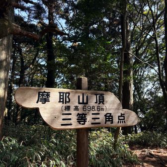 こっちの方が立派だけど標高が低い。