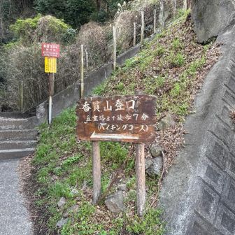 登山口へ入ると急登です。
今日はとても暖かいので、すぐ薄着になりました。
