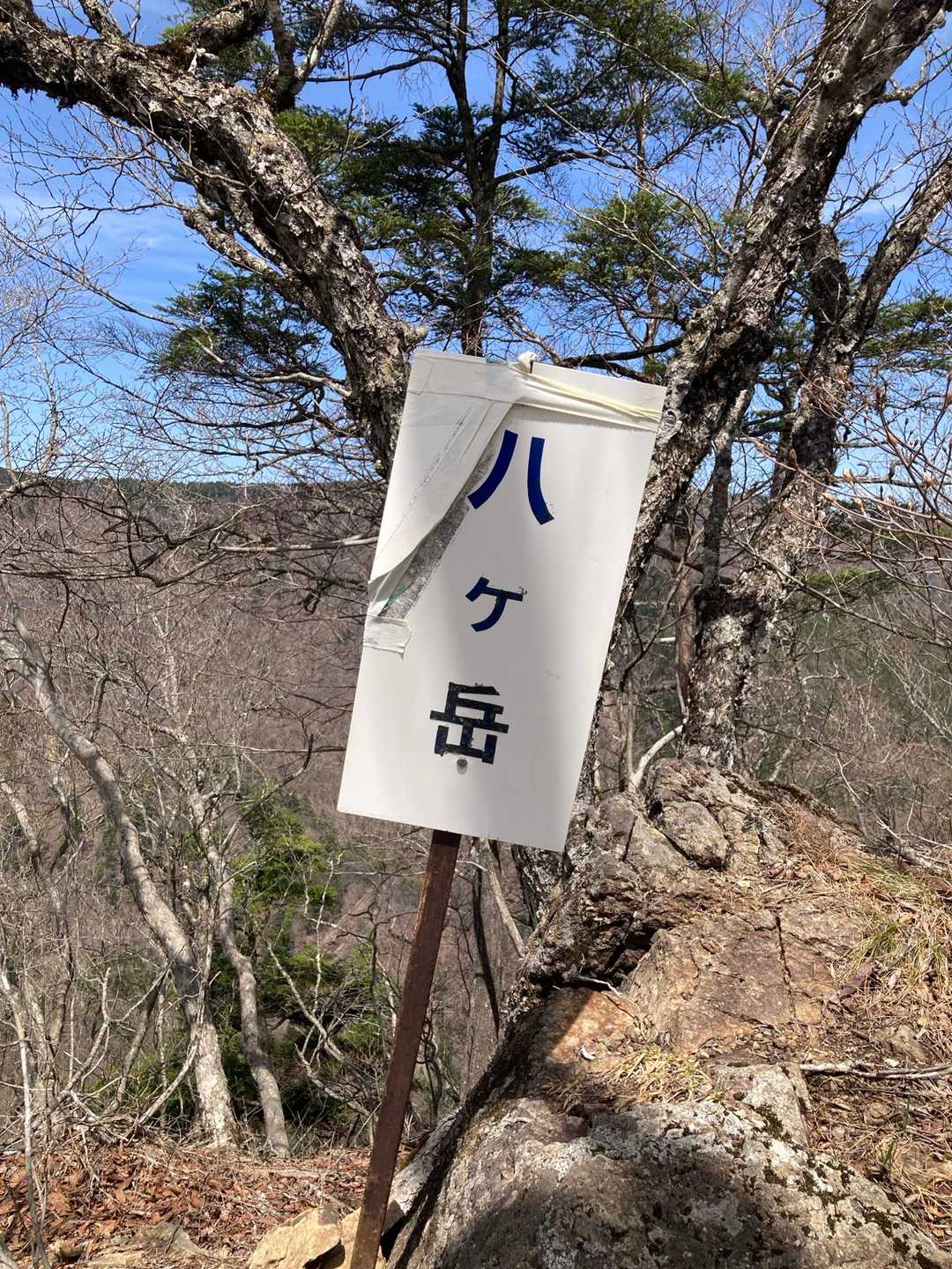 やつがたけ、ではないよ！