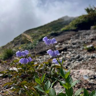 この時期にもきれいなお花畑