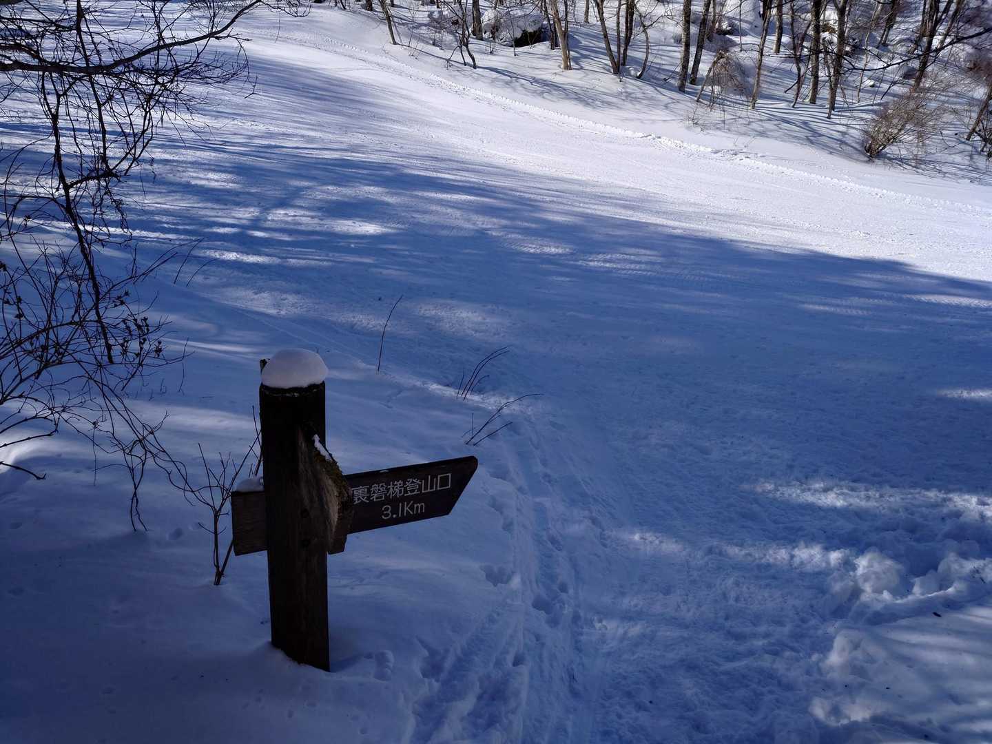 長いトレイルコースを歩き登山口に到着。