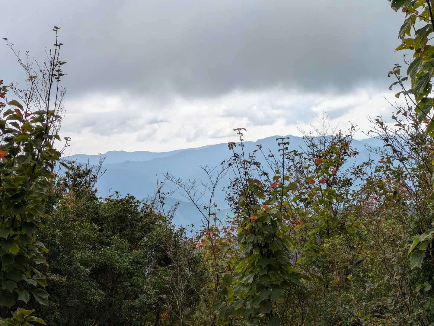 大峯山系でしょうか😅