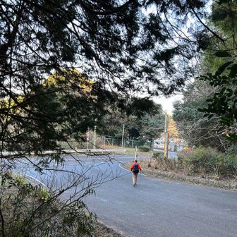 駐車場🅿️見えた✨