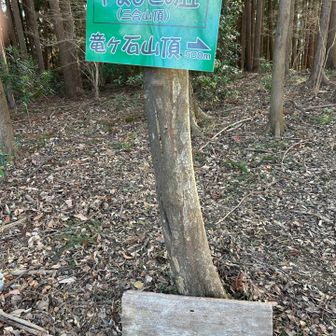 あまりにも何もない山頂の光景🫩
『富士山』ってデカいボードも文字は消えかけて
方向も反対向いてる…
