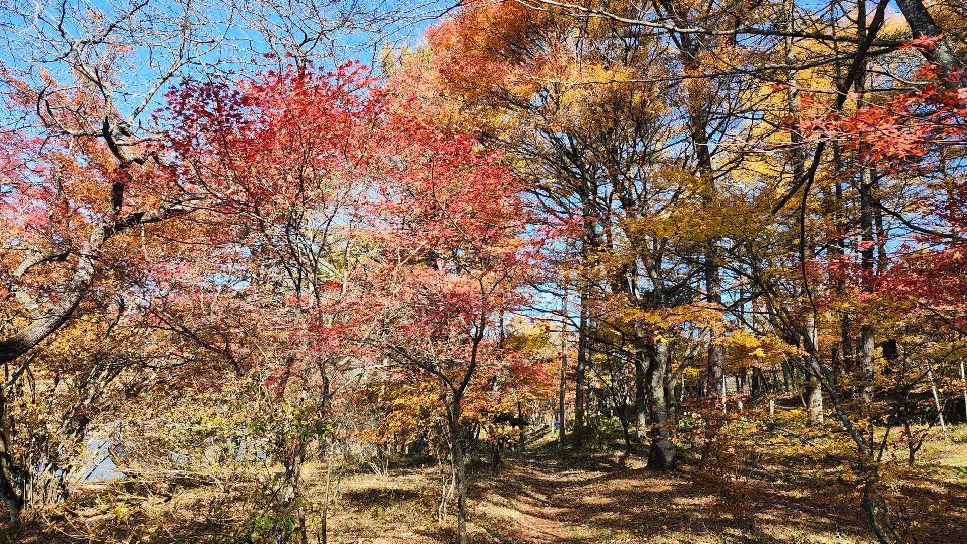 榛名富士登山口-榛名富士-ロッジ前バス停 周回コースの写真