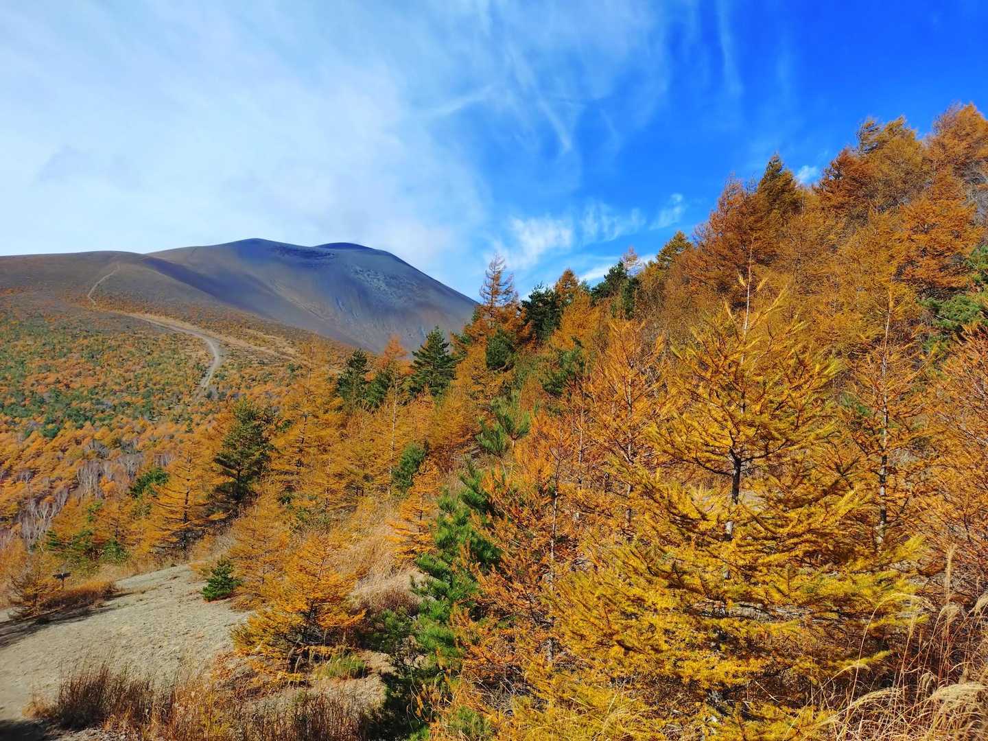 小浅間山-峰の茶屋バス停 縦走コースの写真