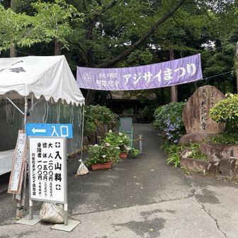朝早いので受付誰も居ない。
まあ登山後にまた来るので、そのままスルー。