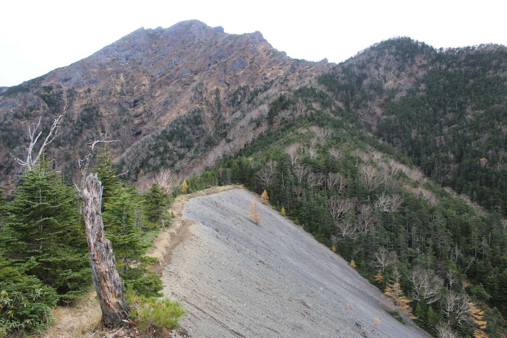 阿弥陀岳&青ナギ
