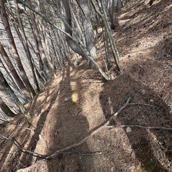 ここ、入ってはいけません
気づかず、入っていしまいました
踏み跡は続いているのですが、とても細く、途中で無くなります
ちょっと危険でした