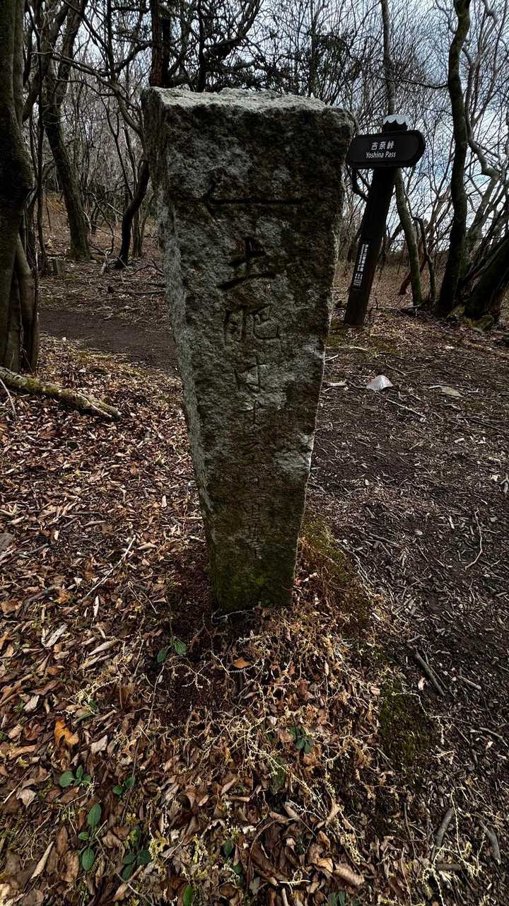 伊豆山陵線トレイル（三蓋山・水呑頭・猫越岳・後藤山・魂の山・棚場山・伽藍山・古稀山・達磨山・小達磨山） の写真 71