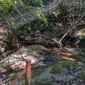少し迷って、なんとか此処まで…
↑渡渉して上の道路へ