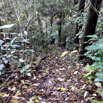 ズルズルの下り