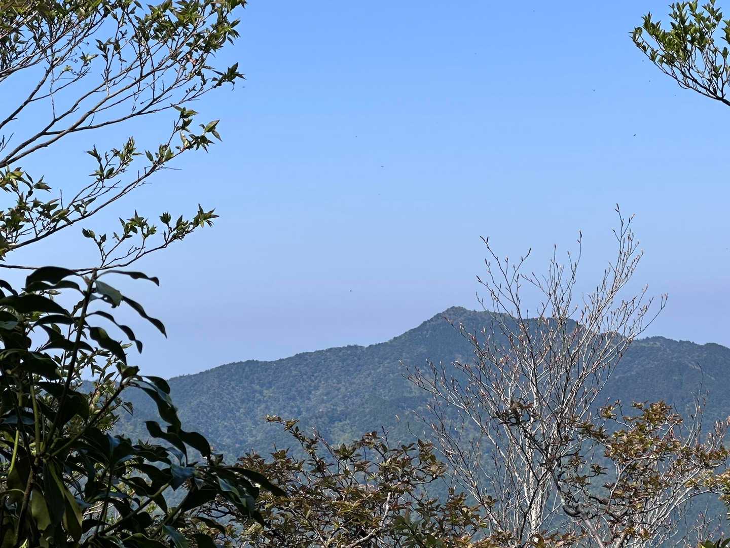 法師山
