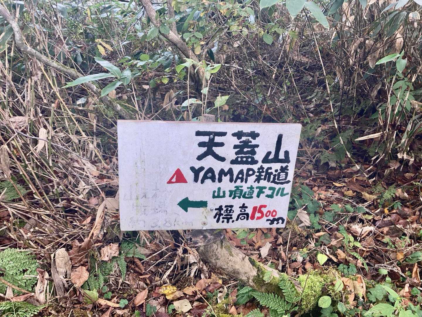 山之村牧場バス停-天空の牧場奥飛騨山之村牧場-天の夕顔の碑 縦走コースの写真