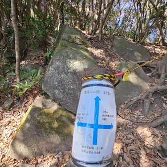 鬼越山にちょっと寄り道
直ぐなので行ってみたけど