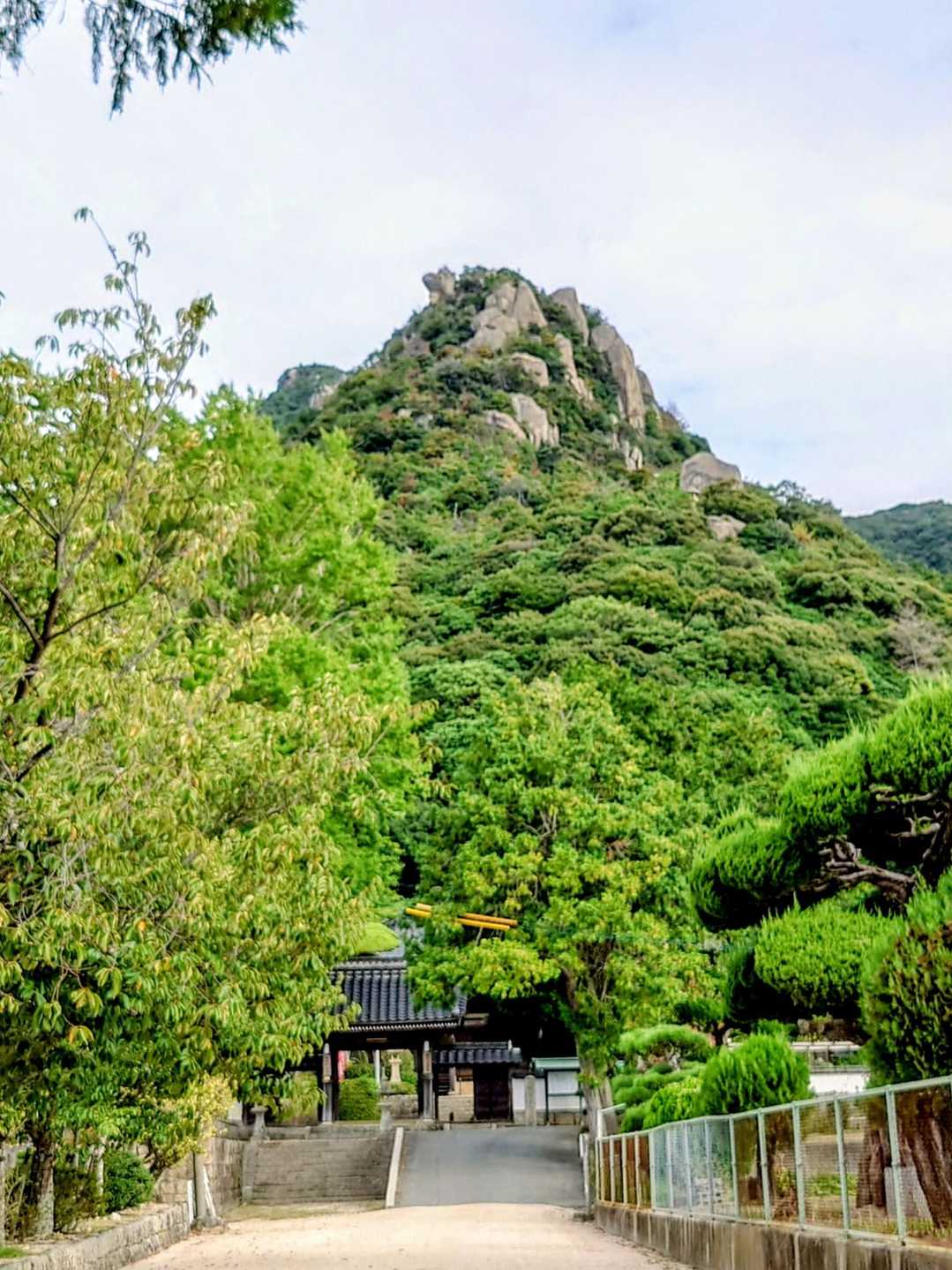 おぉ(*ºoº*)✨ あそこに登るのか