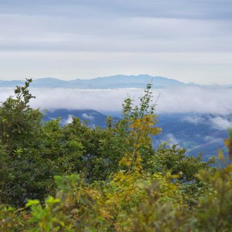 蔵王かな〜？
反対側から見ると意外と山わからないよね
下山はゆっくりと行く。