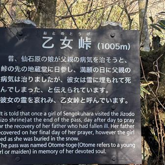 父親想いの娘さんだったんだね😭