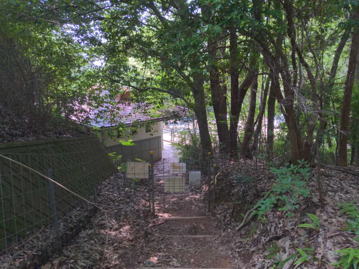 暑いので早々に戻ってきました