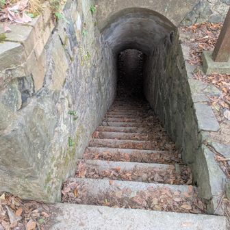 砲台の避難か？