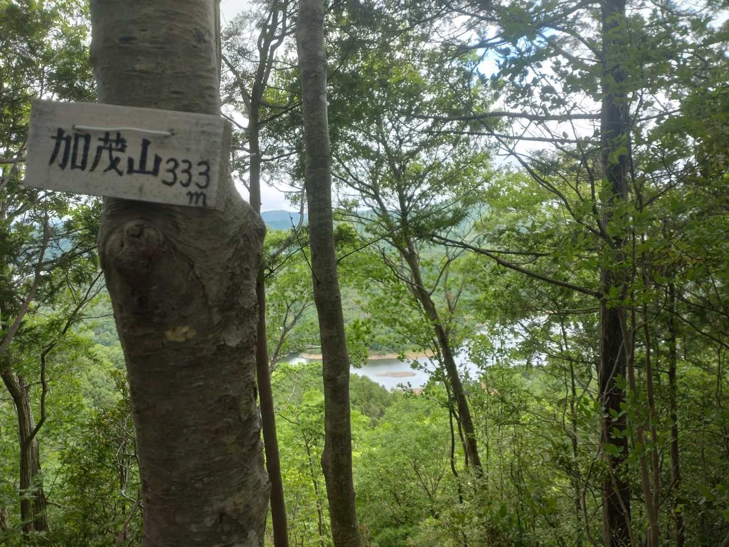 加茂山着〜🙌

ピストンで戻りました
お疲れ山でした～🙋