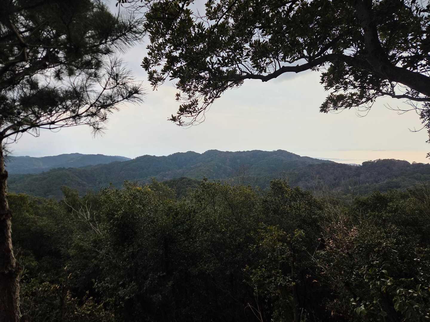 少し景色が見えます😃