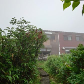 大日平山荘到着